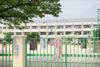 世田谷区立旭小学校　の画像1