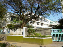 世田谷区立笹原小学校