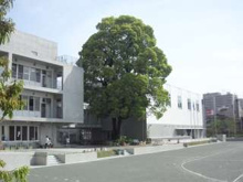 世田谷区立松沢小学校