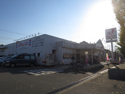 ジェーソン 千葉みつわ台店