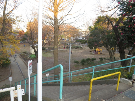 公園 美しの森公園