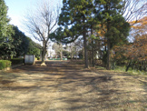 桜木公園
