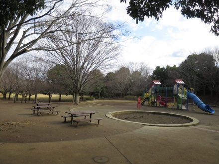 公園 美しが丘近隣公園