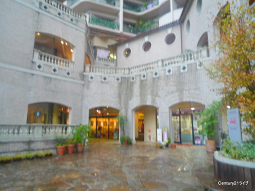 花のみちセルカの画像2