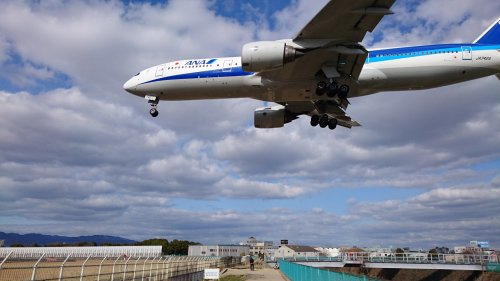 頭上注意!!飛行機が来てますよ。の画像