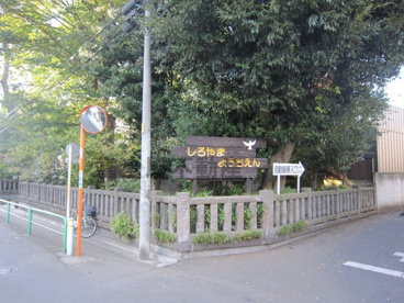 城山幼稚園の画像2