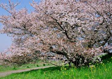    多摩川台公園 
