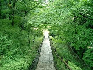 田園調布せせらぎ公園の画像1