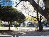 公園 薬円台公園