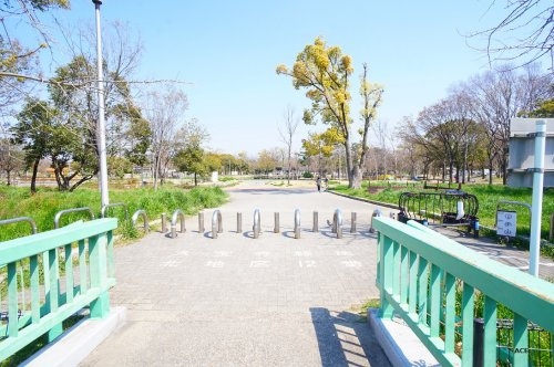 の画像