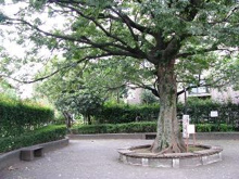 公園 東山街かど公園