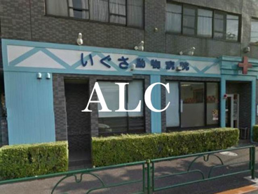 いぐさ動物病院情報ページ 新宿 池袋のお部屋探しはアルク