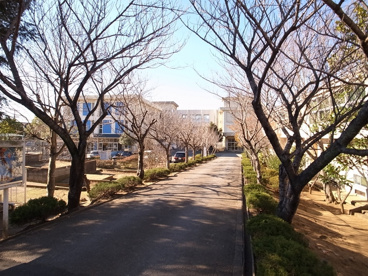 みつわ台南小学校の画像2