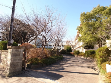 みつわ台中学校の画像2