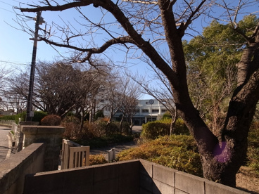 みつわ台中学校の画像3
