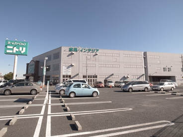 ニトリ　桜木店の画像1