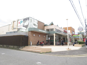 いそかわ イトーピア店の画像2