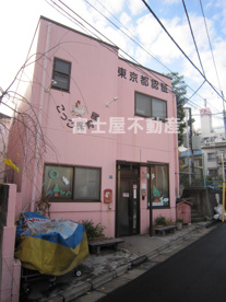 こっこ保育園の画像1