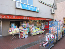 湘南薬品平戸店
