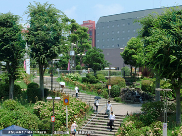 津田沼公園の画像1