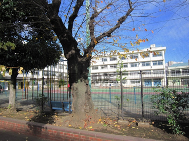 北区立 東十条小学校の画像2