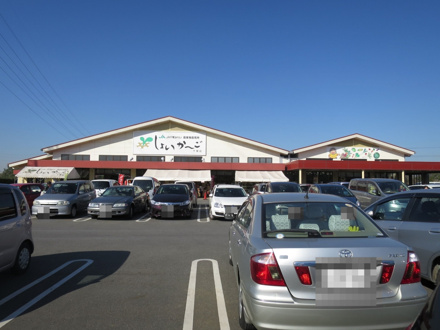 JA千葉みらい農産物直売所「しょいかーご」