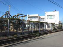 もも保育園