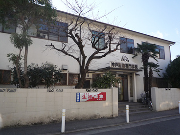 神戸服飾専門学校の画像1