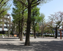 公園 田向公園