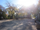 常盤台公園の画像