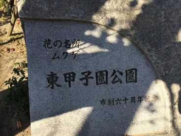 東甲子園公園の画像3
