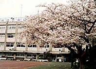 港区立 神応小学校の画像2