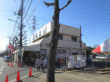 石毛魚類の画像1