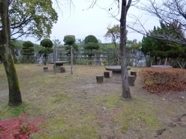 中山中央公園の画像2