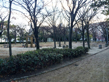 上田西公園の画像2