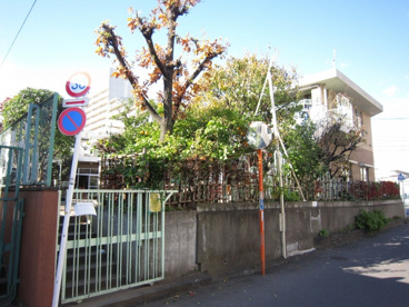 豊川保育園の画像2