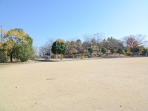 上の池公園