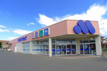 マルエドラッグ太田南矢島店