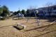 霞ヶ関東第４公園の画像