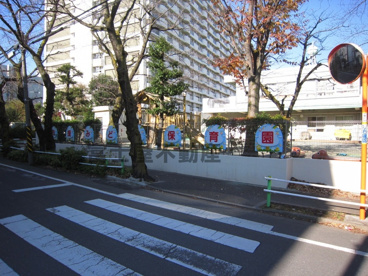 同援みどり保育園の画像2