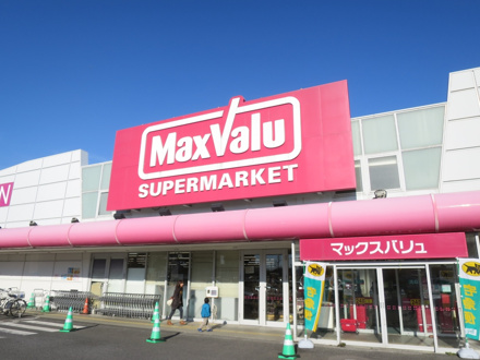 マックスバリュ辰巳台店