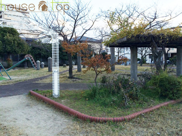 中津公園の画像1
