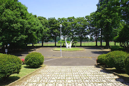 伊与久沼公園（伊勢崎市境伊与久）の画像1