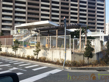 かえで保育園の画像1