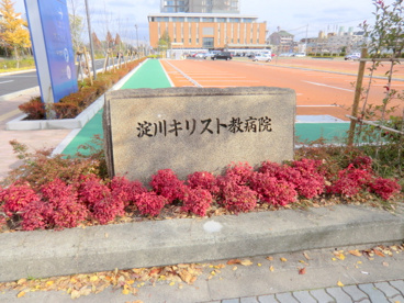 淀川キリスト教病院の画像2