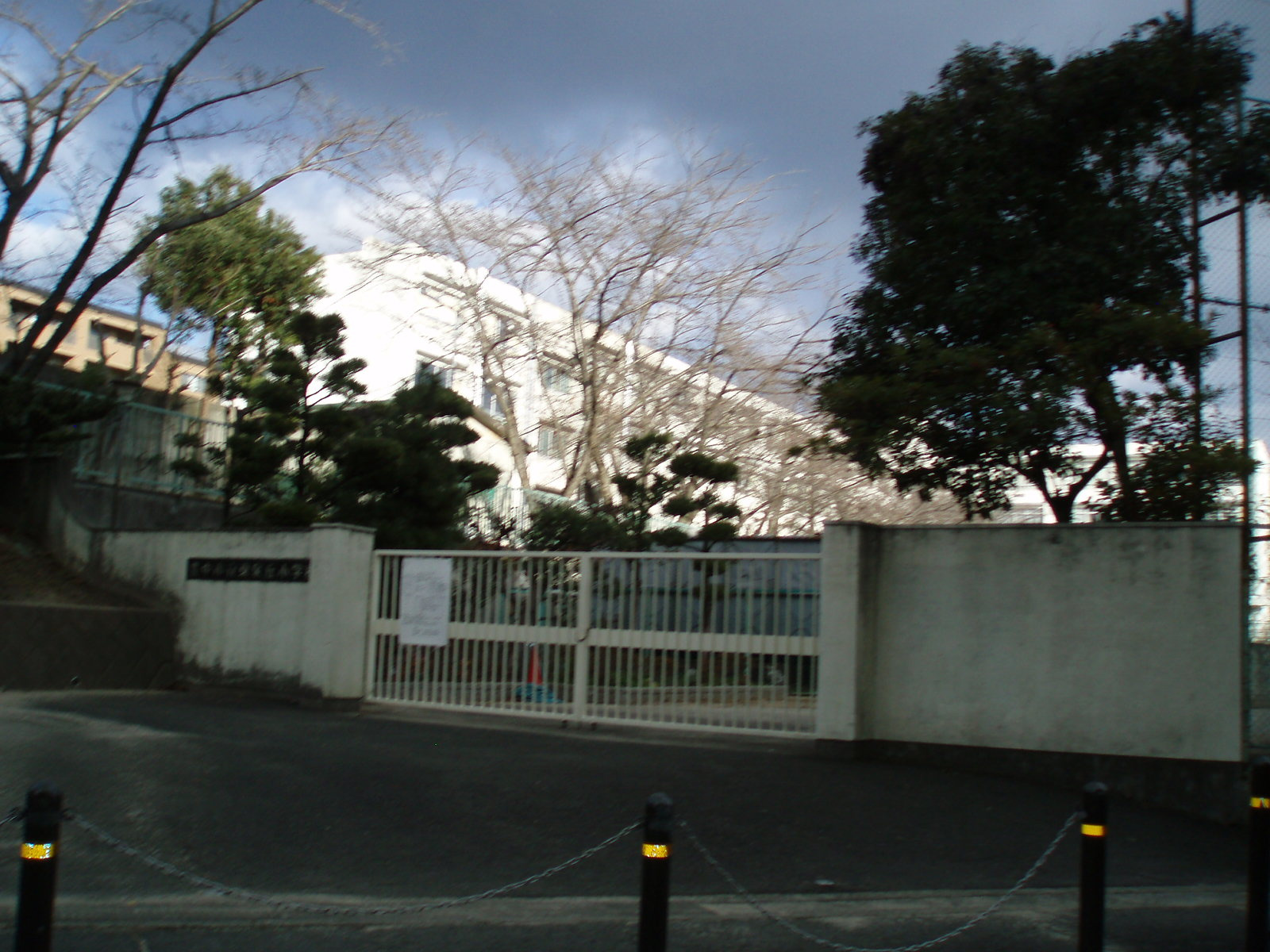 公の場での発言・インタビュー報道記録