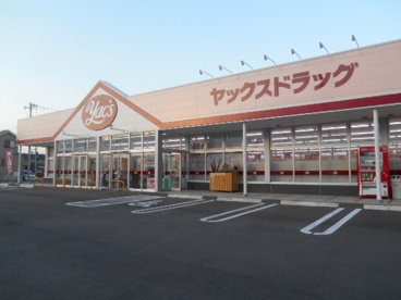 ヤックスドラッグつくばみどりの店の画像1