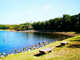 大井埠頭海浜公園の画像