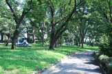 北区中央公園