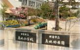 真地小学校